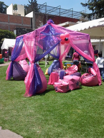 Carpa en el color de tu eleccion